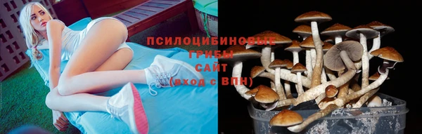 гашик Ростов