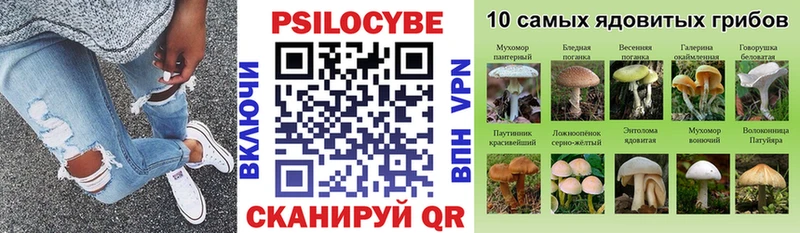 Псилоцибиновые грибы Cubensis OMG вход Верещагино